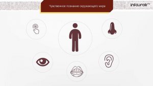 08 Как мы познаём окружающий мир   Информатика 6 класс #8   Инфоурок