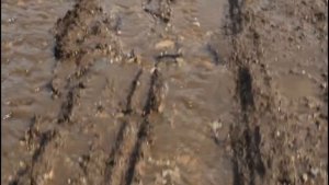 Весна на Заречной улице 28. Село Богородское, Кинель - Черкасского   р - она, Самарской обл.
