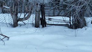 Можно ли заработать на козах, бизнес в деревне, итоги года