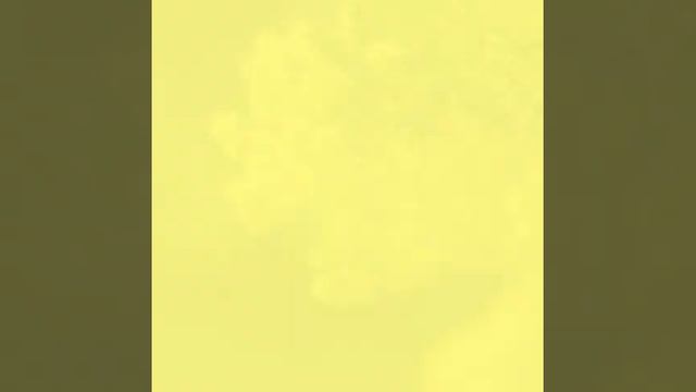 Лесоповал  *Сергей Куприк !*Ветка  мимозы *