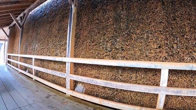 Два города,две парковки для автодома.Седой Бродяга из Германии. смотреть онлайн