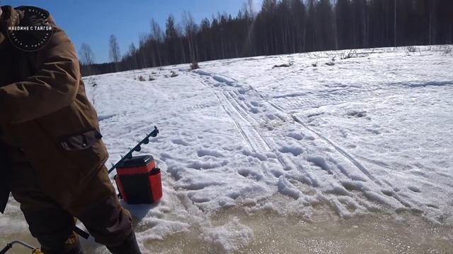 НАШЛИ ОКУНЕВУЮ СТАЮ / ДОМ НА БЕРЕГУ / ЖАРИМ ЩУЧЬЮ ИКРУ / НОЧЕВКА В ПАЛАТКЕ С ПЕЧКОЙ / Часть 2 смотреть онлайн