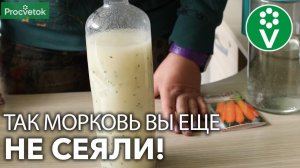 ОРИГИНАЛЬНЫЙ СПОСОБ ПОСЕВА МОРКОВИ В ИЮНЕ. Урожай сохранится почти год!