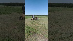 Сенокос 2019 ворошилка спереди мотоблока