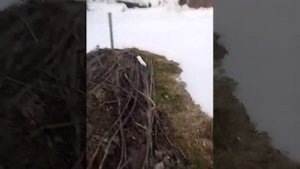 Фильтрационная траншея при высоком уровне грунтовых вод
