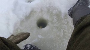 В поисках поклёвки!