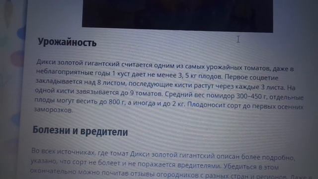 ТОМАТ - АМЕРИКАНЕЦ "ДИКСИ ЗОЛОТОЙ" ПРИЯТНО УДИВИЛ! Ольга Чернова. смотреть онлайн