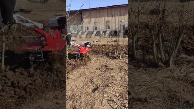 Испытание мотоблока brait br-105 на целине ранней весной 2021 года смотреть онлайн