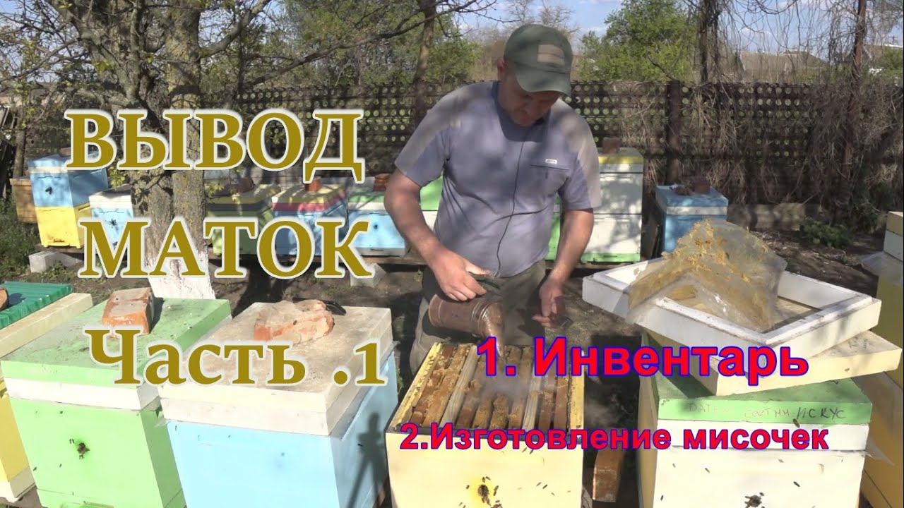 ВЫВОД МАТОК Часть  1