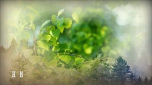 Поздравление папе на День рождения~