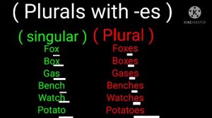 singular and Plural plurals with -s - es -ies -ves change is spelling Lakshya kesharwani in short.