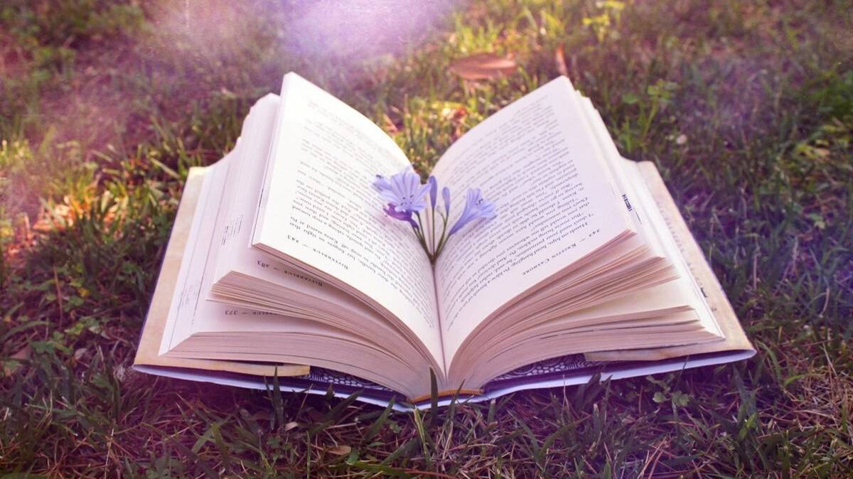 Книжная полка август 24 смотреть онлайн