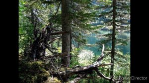 природа Хабаровского края (nature of the Khabarovsk Territory)