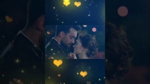 тур.сериал "Замечательный зять"