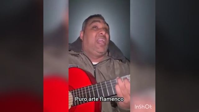 ?el cortecitas por zambra es impresionante? смотреть онлайн