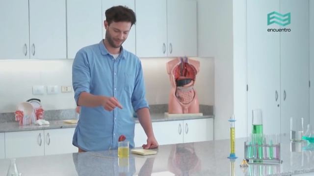 Sistema Digestivo Resumen смотреть онлайн