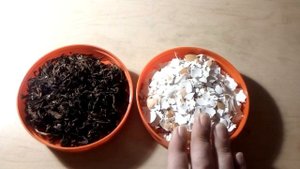 Яичная скорлупа и спитой чай. Они необходимы огороду.