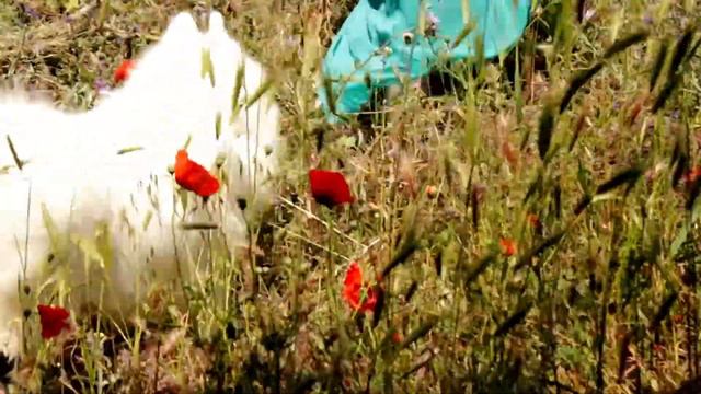 Юлия и Бонифаций. Прогулка. смотреть онлайн