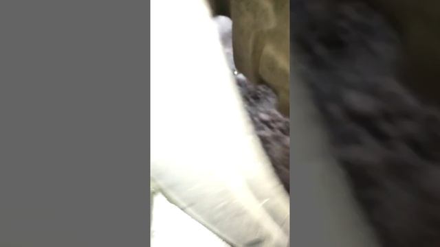 Размеры крепления крыла мтз 82 смотреть онлайн