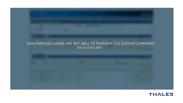Vormetric Transparent Encryption from Thales e Security смотреть онлайн