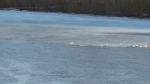 Батька Дон г. Павловск воронежская область