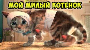 Приключения крошки котенка Игра про котика