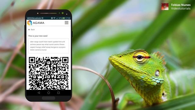 Agama Mobile Wallet (multi coin) for Android смотреть онлайн