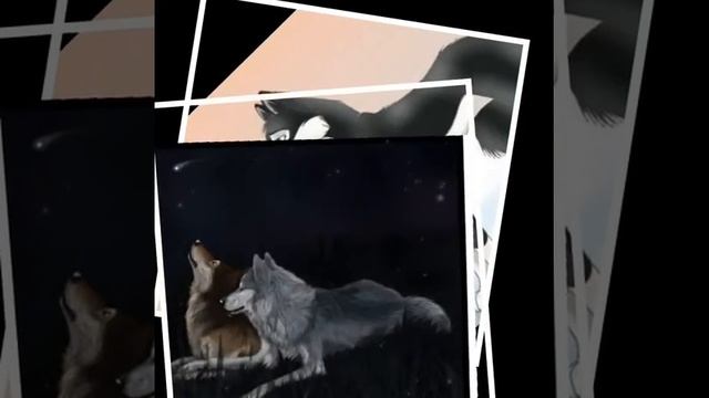 Аниме волки!!!! смотреть онлайн