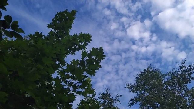 15 июня-НИКИФОРОВ ДЕНЬ.Традиции и обычаи дня.Приметы и поверья.