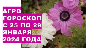 Агрогороскоп с 25 по 29 января 2023 года. Agrohoroscope from January 25 to 29, 2024