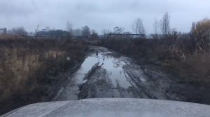 Бездорожье Тайота Крузак 100