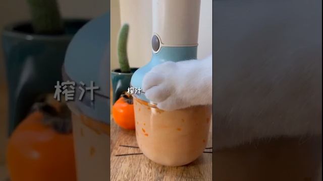 #short #Cat # Pet #Cute Chef Catie Puzzy Cooking Food | Милый кот готовит 2021