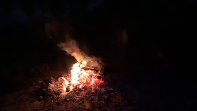 Нежная музыка у костра смотреть онлайн