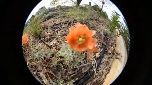 Тест объектива Sigma 8mm f 3.5 EX DG Circular Fisheye Lens for Nikon SLR Cameras test