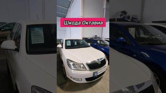 Авторынок. Шкода Октавиа
#шкодаоктавиа #авторынок