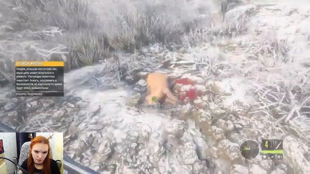 Альфа-самка оленя убивает кабарг в The Hunter: Call of the Wild смотреть онлайн