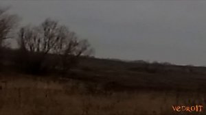 ОХОТА НА ЛИСУ. ОХОТА НА ЗАЙЦА. РОСТОВСКАЯ ОБЛАСТЬ. ОХОТА 2019. ЗАВАЛИЛИ ЛИСУ!