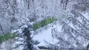 Снежный мир 2021-2022