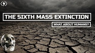 What Does The Sixth Mass Extinction Mean For Humans? смотреть онлайн