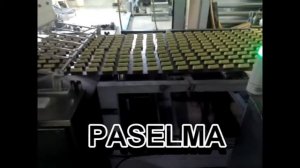 Отсадочная машина для пряников на под печи