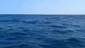 Рыбалка. Ловим на пяточек и тирольскую палочку