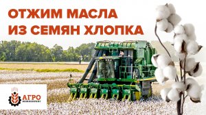 Производство хлопкового масла. Провели эксперимент по отжиму семян хлопка на нашем маслопрессе.