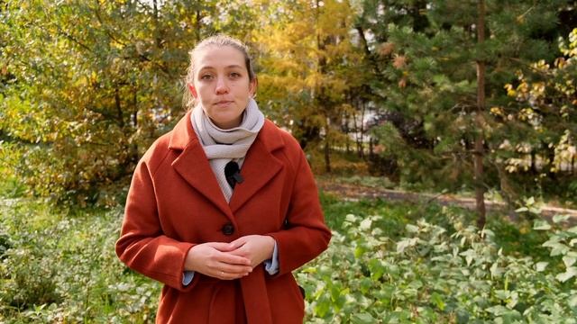 Эксперимент по инвентаризации зеленых насаждений. Живая лаборатория