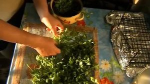 Сушилка своими руками для фруктов,зелени и овощей.