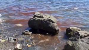 Скала ПАРУС, как добраться, пляж, Прасковеевка, Джанхот, Дивноморское, Геленджик