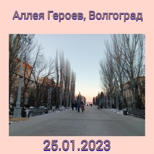 ✨✨✨аллея героев. 25.01.2023.???