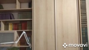 Домашняя библиотека. Как хранить книги?