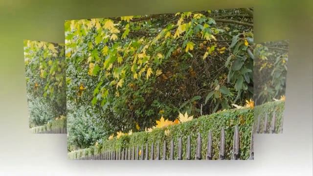 Чудо - Осень. смотреть онлайн