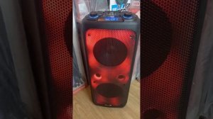 Портативная колонка Eltronic  20-62 NEW (1000 Ватт)