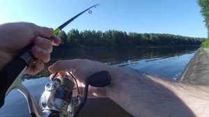 24 июня, канал им.Москвы, Новосельцево. Пробую тирольскую палочку на отводном поводке.